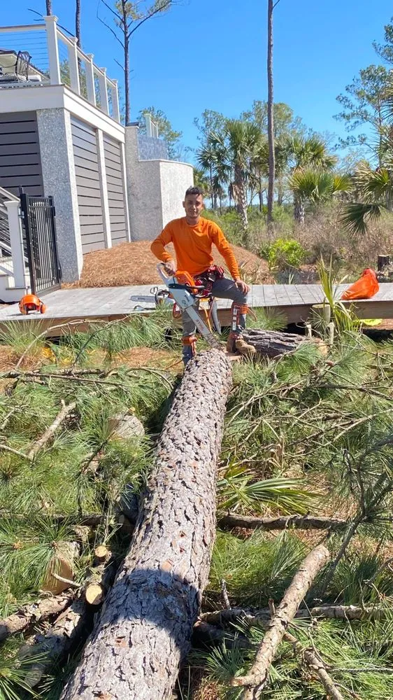 Custom garden landscaping in Hanahan, SC by Orben Mendez