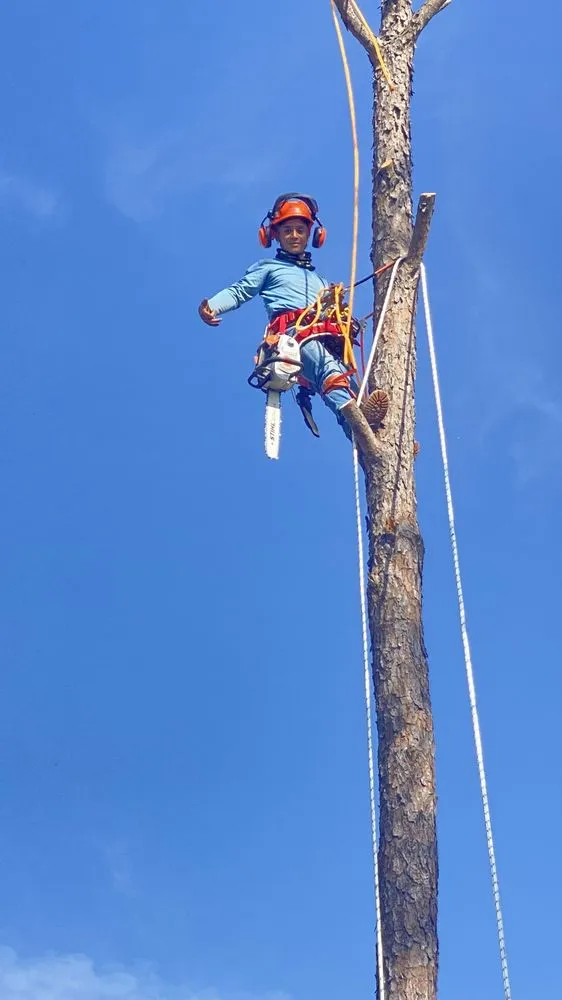 Custom yard cleanup service in Hanahan, SC by Orben Mendez