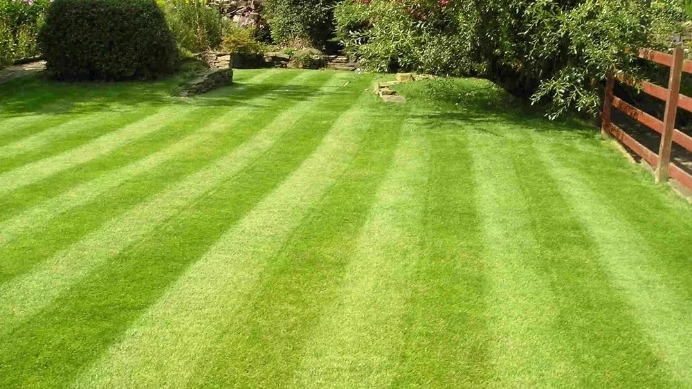 Affordable residential landscaping in Hanahan, SC - Orben Mendez