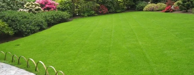 Reliable residential landscaping experts serving Hanahan, SC - Orben Mendez