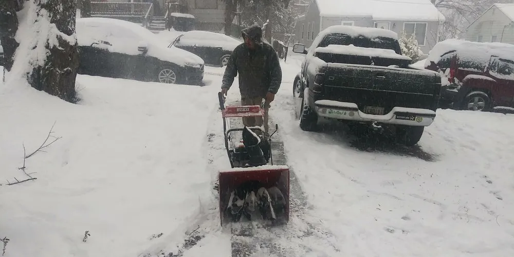 Custom yard cleanup service for residential properties in Hyattsville, MD by Orbin Landscaping & Tree Service