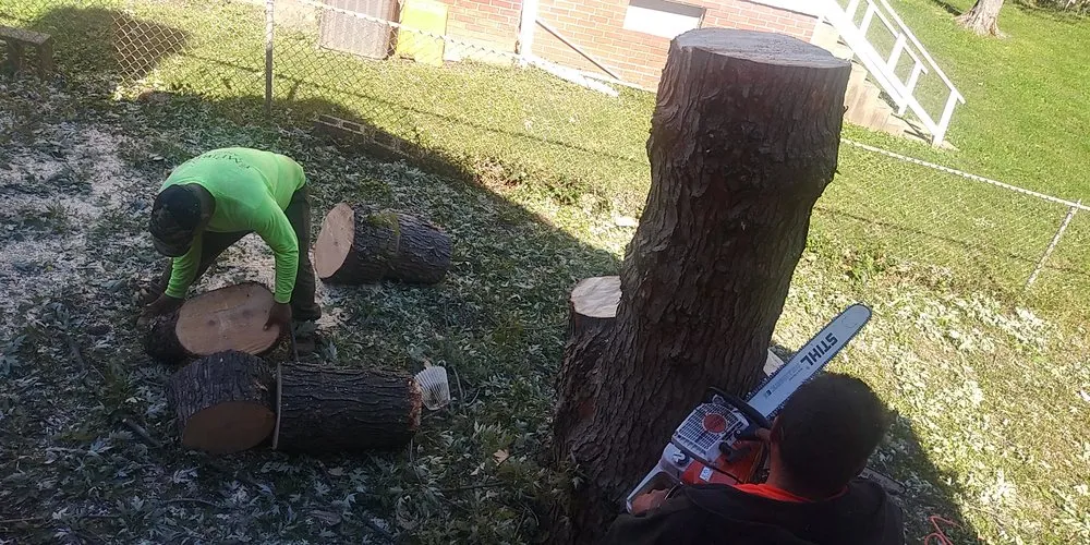 Custom landscape design for residential properties in Hyattsville, MD by Orbin Landscaping & Tree Service