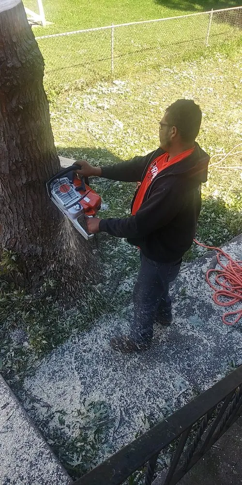 Trusted residential landscaping for outdoor upgrades across Hyattsville, MD - Orbin Landscaping & Tree Service