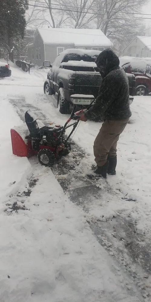Local landscape design for year-round maintenance across Hyattsville, MD - Orbin Landscaping & Tree Service