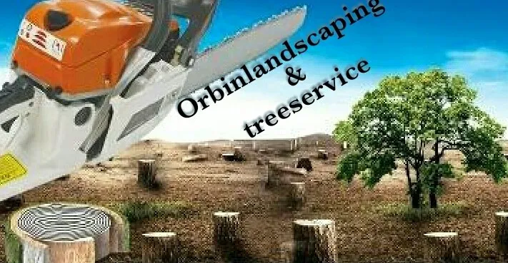 Expert yard cleanup service in Hyattsville, MD - Orbin Landscaping & Tree Service
