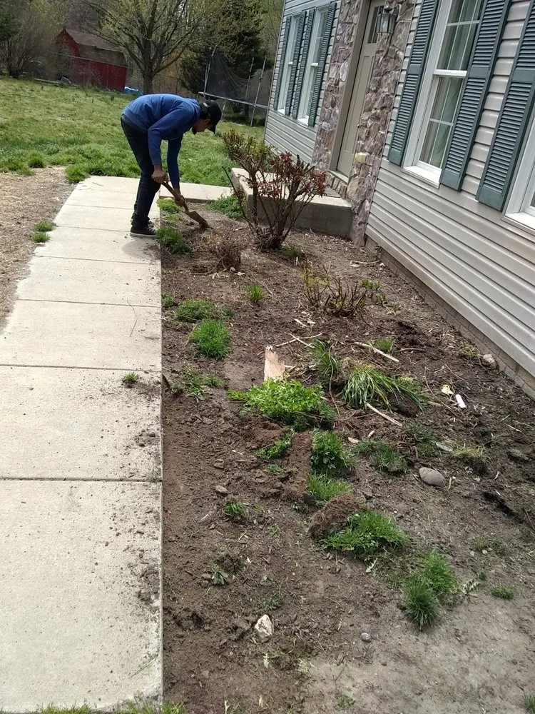 Trusted yard cleanup service in Hyattsville, MD by Orbin Landscaping & Tree Service