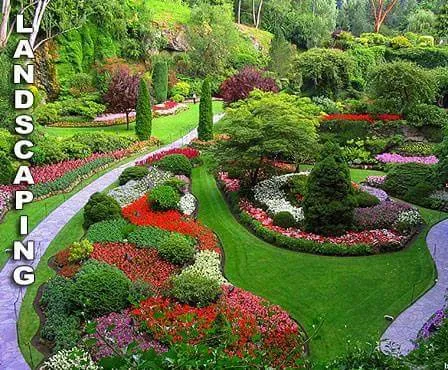 Affordable landscape installation for residential properties in Hyattsville, MD by Orbin Landscaping & Tree Service