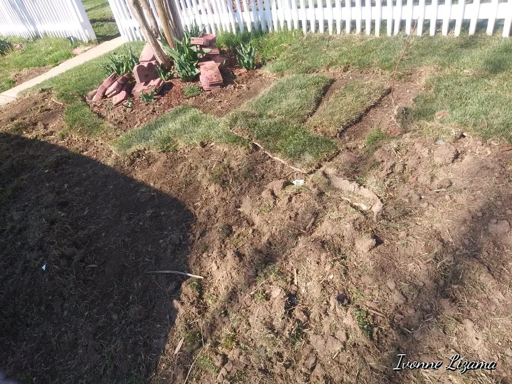 Top-rated residential landscaping experts serving Hyattsville, MD - Orbin Landscaping & Tree Service