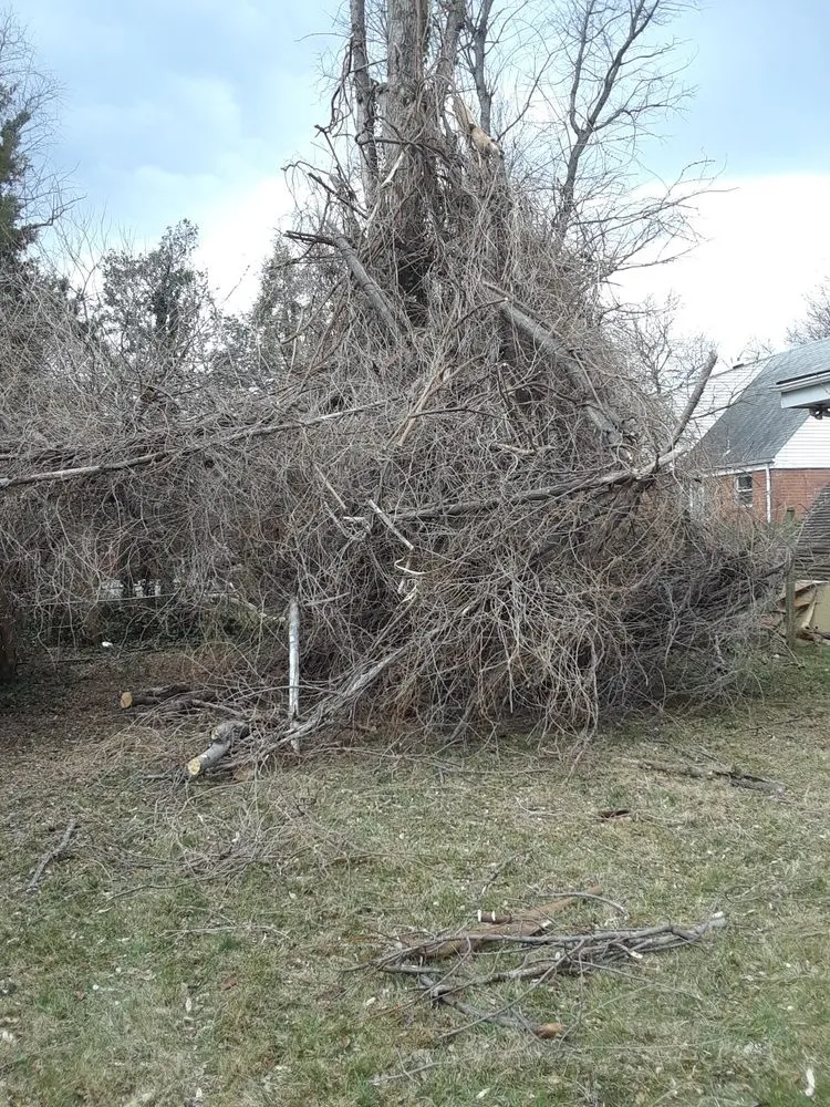Affordable yard cleanup service with custom design across Hyattsville, MD - Orbin Landscaping & Tree Service