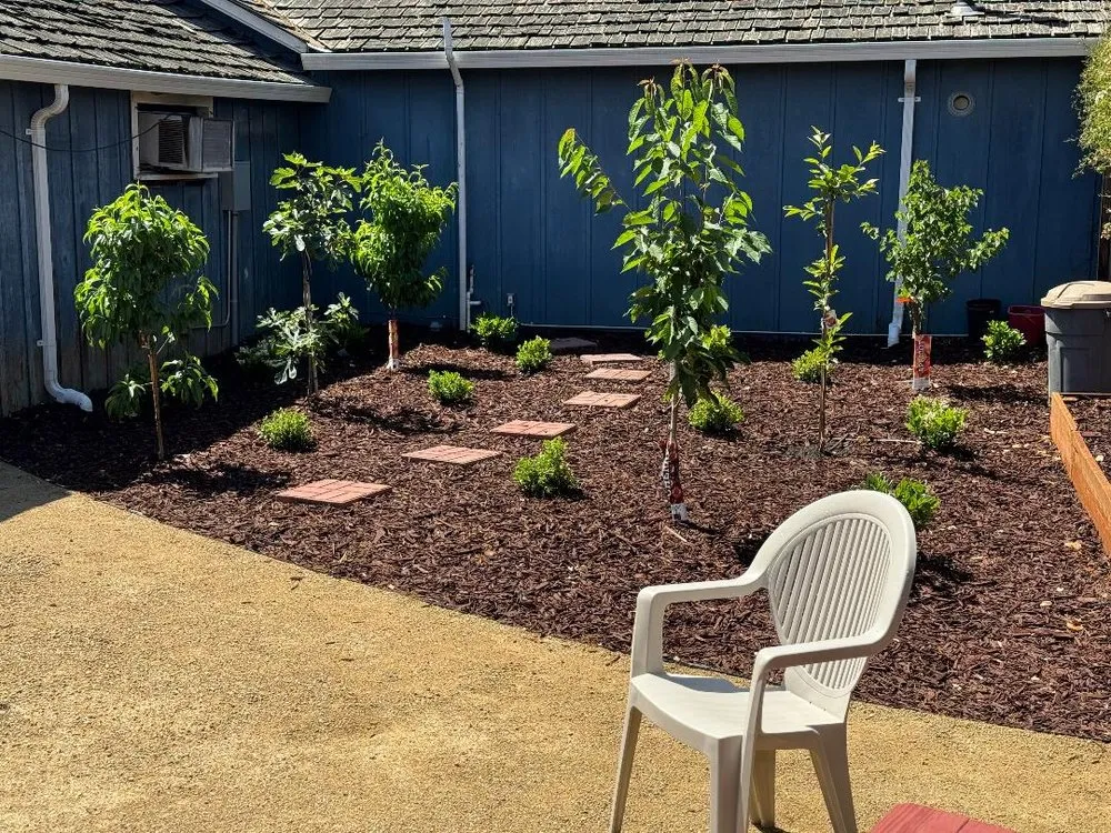 Local yard cleanup service experts serving Gilroy, CA - Orchard Bay Landscaping