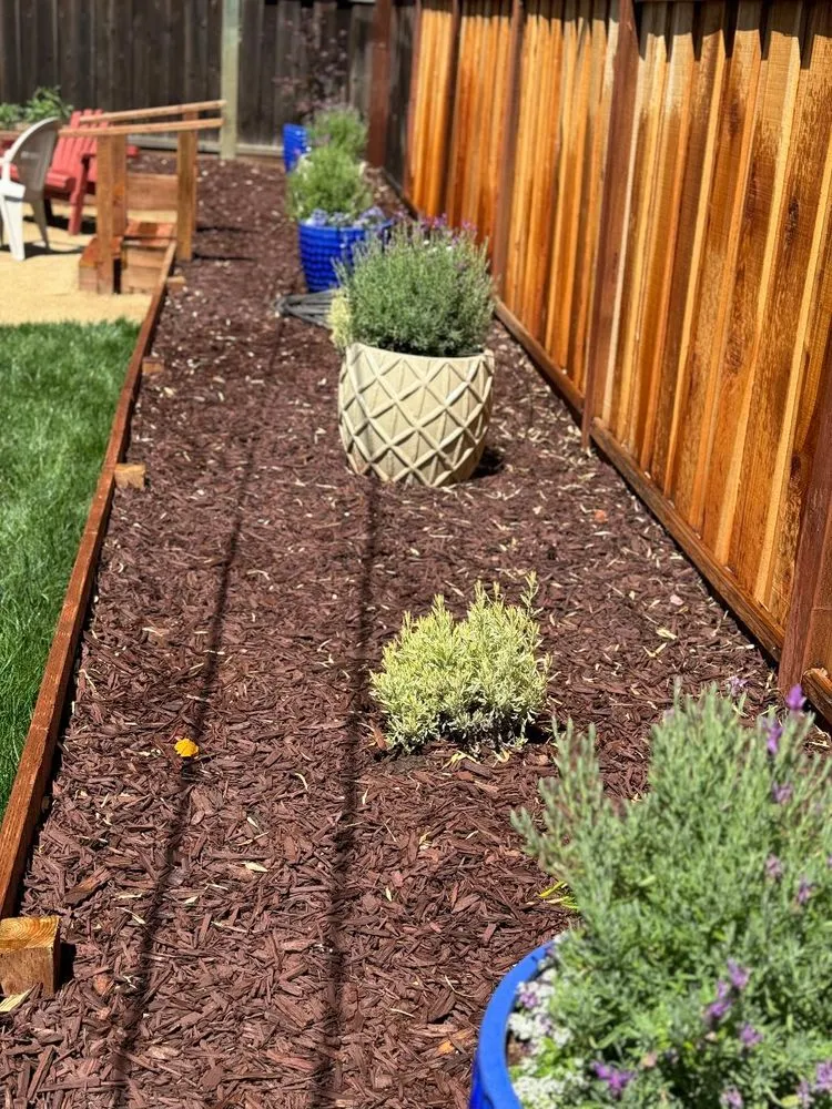 Trusted yard cleanup service experts serving Gilroy, CA - Orchard Bay Landscaping