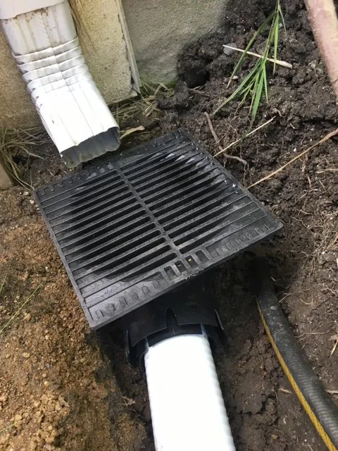 Trusted landscape installation for year-round maintenance across Beverly Hills, CA - Orchard Landscaping