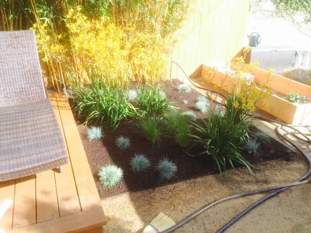 Affordable lawn mowing service experts serving Beverly Hills, CA - Orchard Landscaping