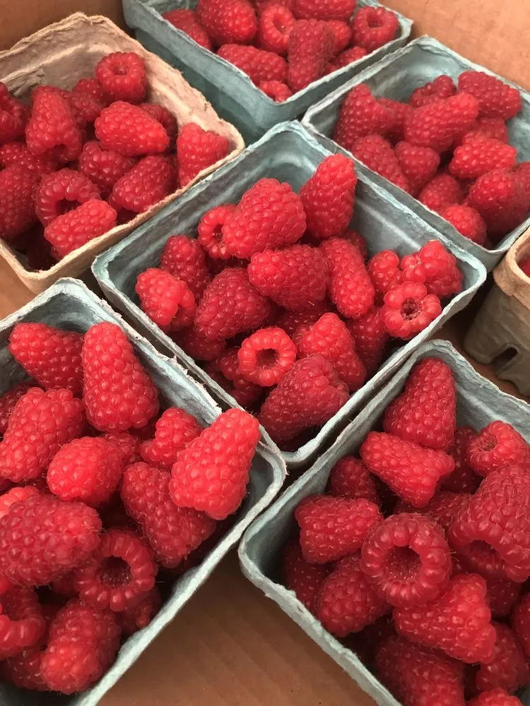 Top-rated garden landscaping experts serving Eastsound, WA - Orchards, Gardens, & Irrigation