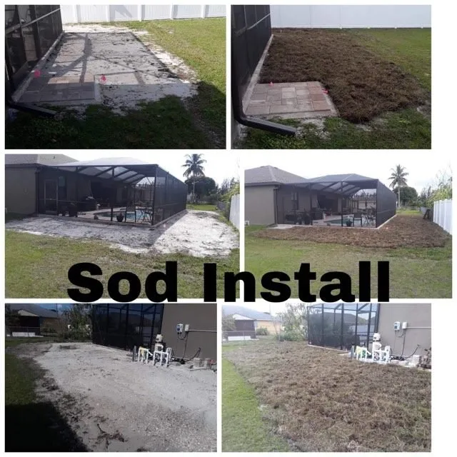 Reliable landscape installation experts serving Fort Myers, FL - Orchid Grow Landscaping