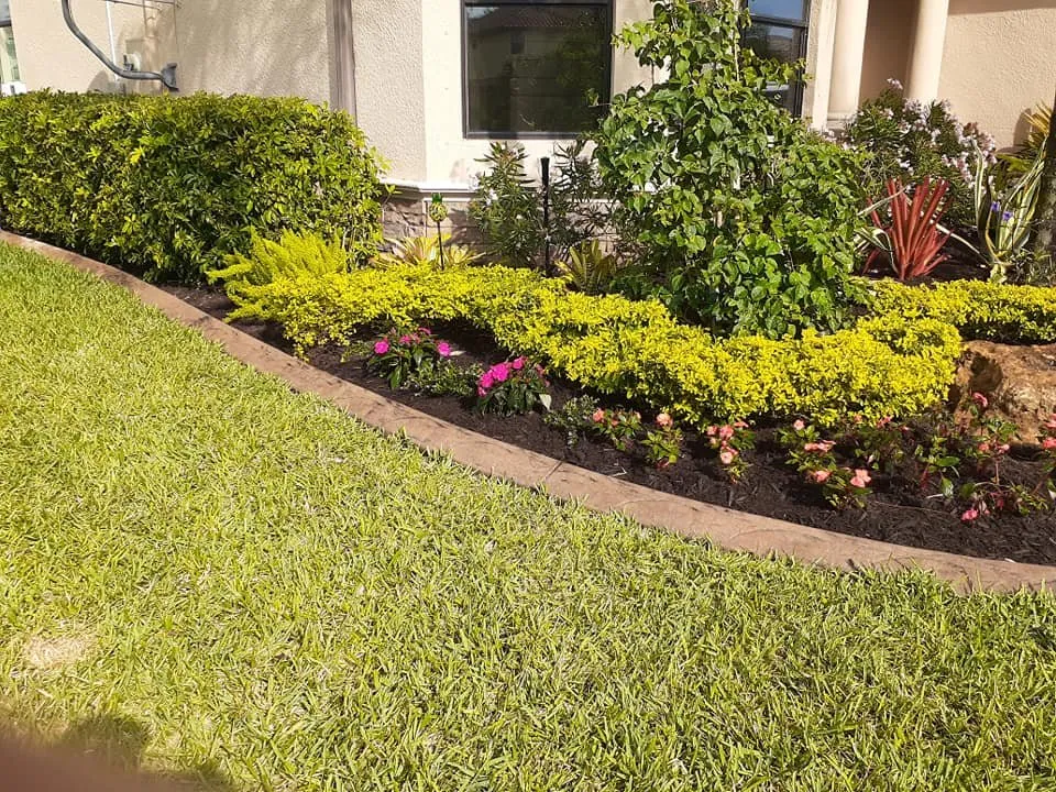 Custom yard maintenance for residential properties in Fort Myers, FL by Orchid Grow Landscaping