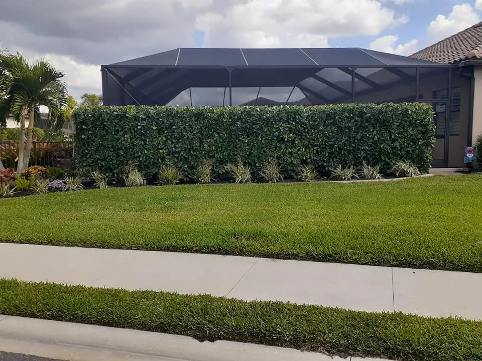 Trusted yard maintenance for year-round maintenance across Fort Myers, FL - Orchid Grow Landscaping