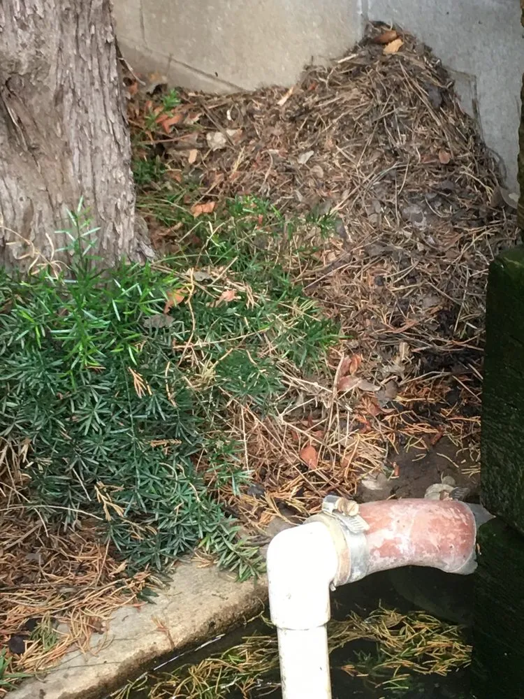 Local garden landscaping in Pasadena, CA by Orchid Landscape