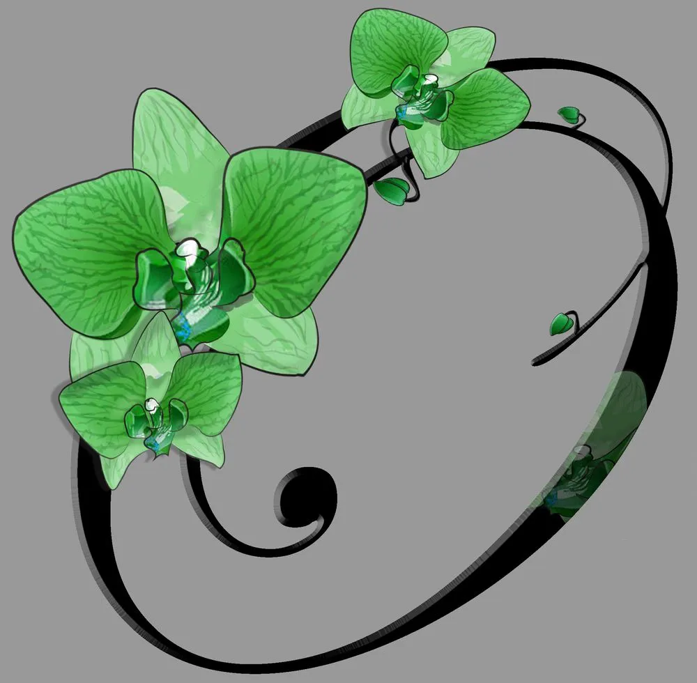 Custom yard cleanup service in Pasadena, CA by Orchid Landscape