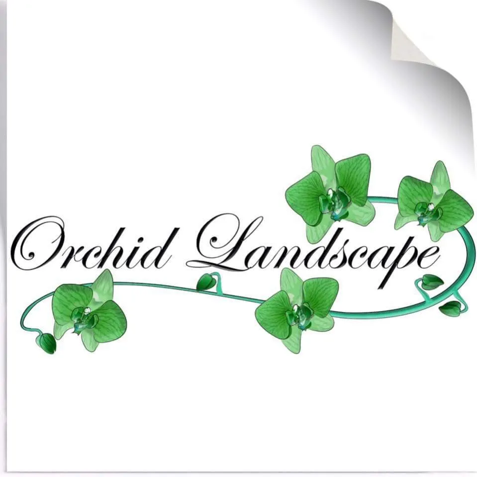 Expert landscape design in Pasadena, CA by Orchid Landscape