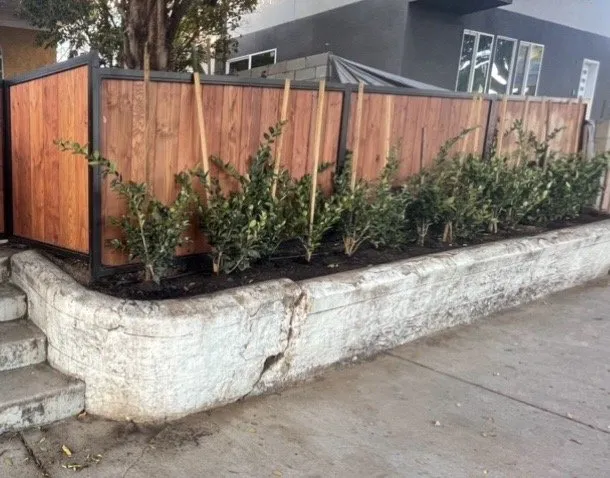 Reliable residential landscaping in Pasadena, CA by Orchid Landscape