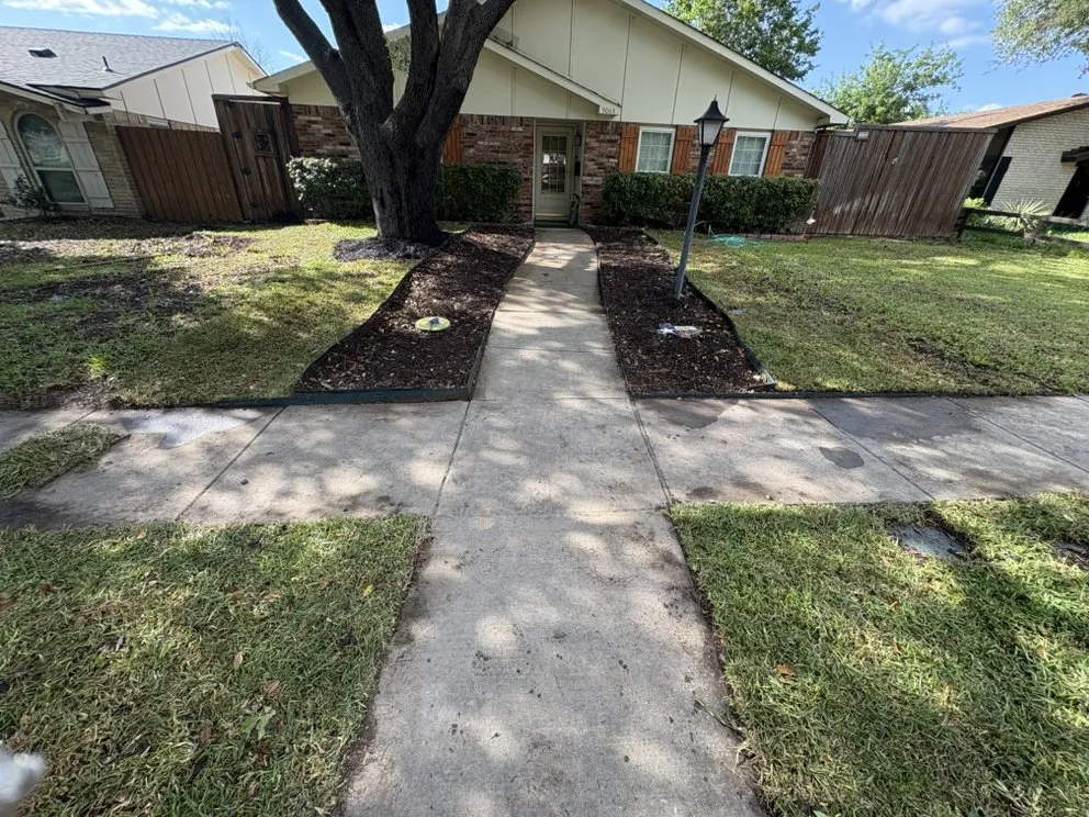 Professional lawn care service in The Colony, TX - Orchid Landscape