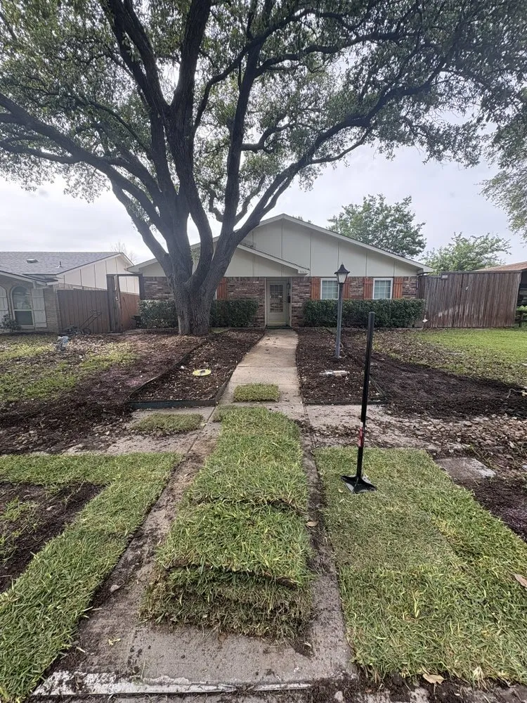 Expert outdoor landscaping for residential properties across The Colony, TX - Orchid Landscape