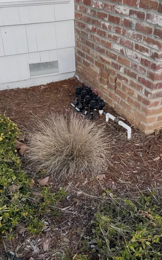 Top-rated landscaping services with custom design across Sacramento, CA - Orchid Lawn Care