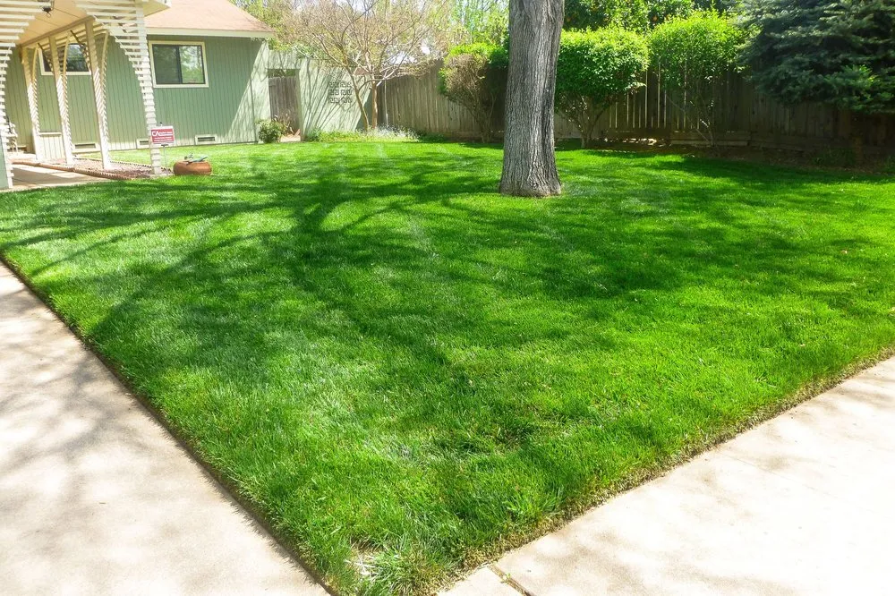 Top-rated garden landscaping in Sacramento, CA - Orchid Lawn Care
