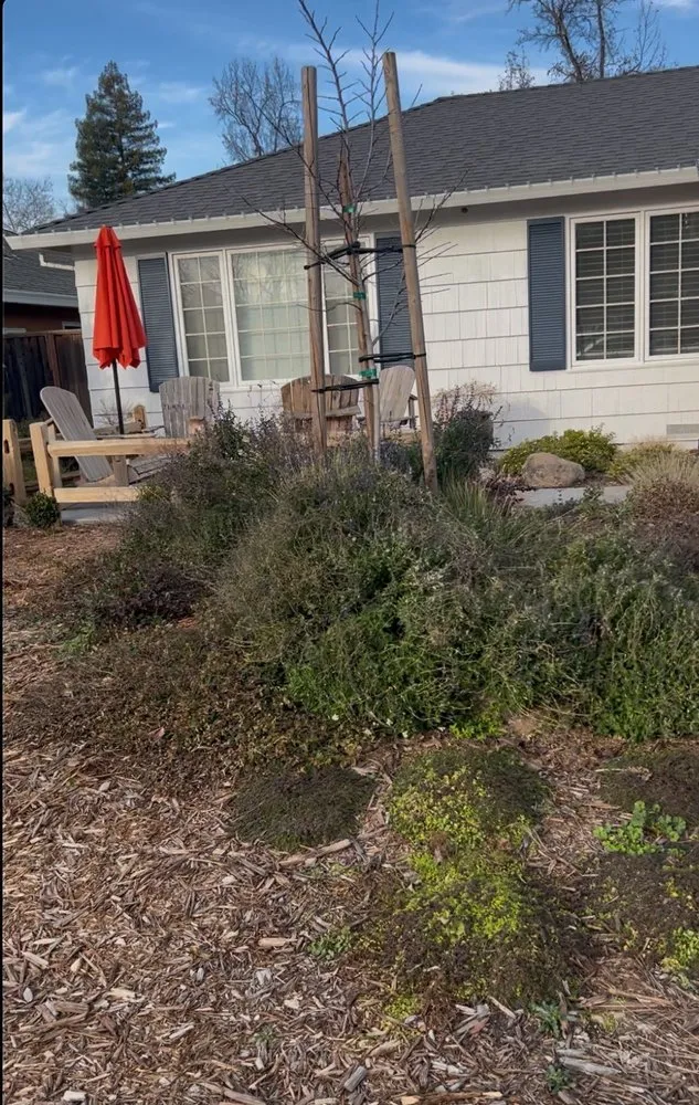 Affordable garden landscaping experts serving Sacramento, CA - Orchid Lawn Care