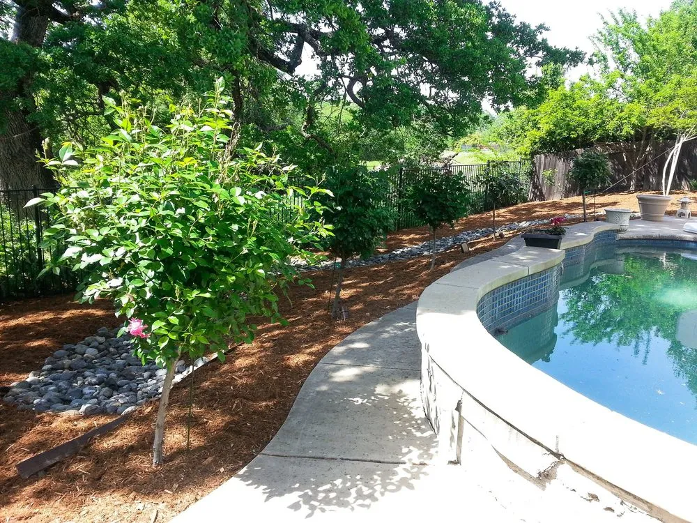 Top-rated landscaping services for year-round maintenance in Sacramento, CA by Orchid Lawn Care
