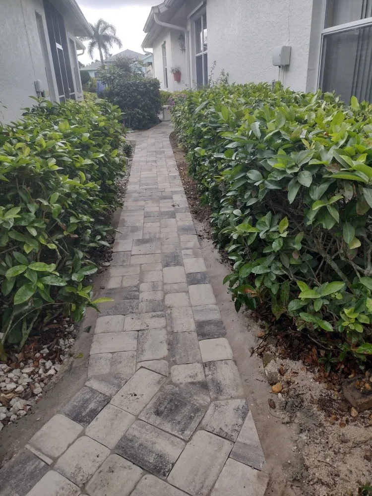 Top-rated residential landscaping experts serving Naples, FL - Orchid Lawn Services