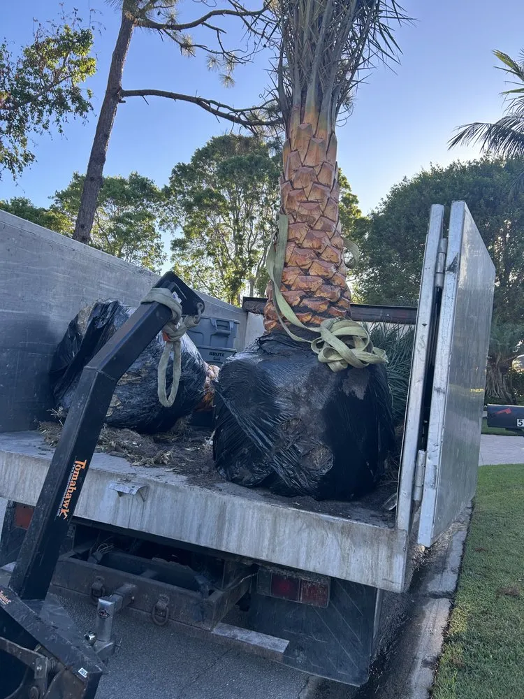 Expert landscaping services in Naples, FL by Orchid Lawn Services