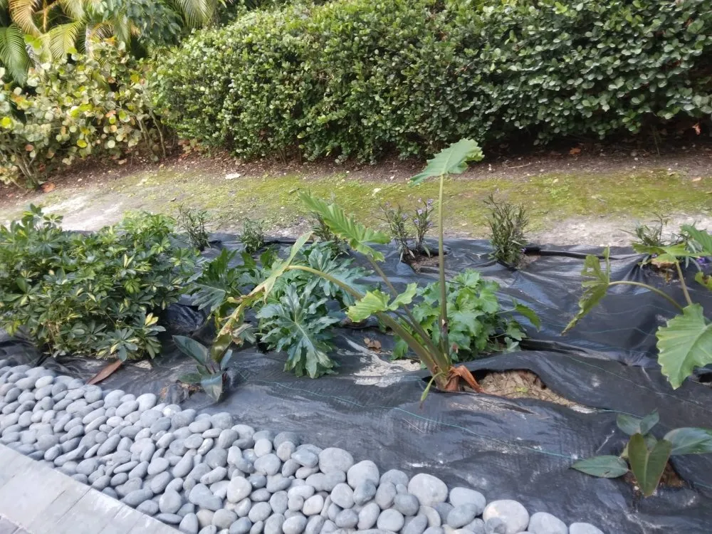 Reliable yard cleanup service for outdoor upgrades in Naples, FL by Orchid Lawn Services