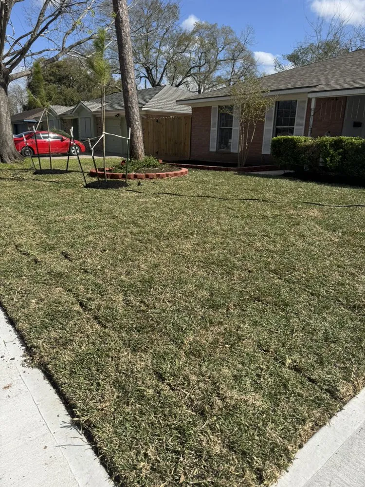 Expert outdoor landscaping with custom design in Rosharon, TX by Orchid Lawn Services