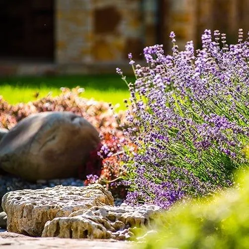 Expert yard maintenance experts serving Miami, FL - Orchidman Landscapes