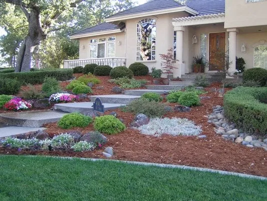 Local yard cleanup service experts serving San Francisco, CA - Orchids Gardening & Landscaping Services