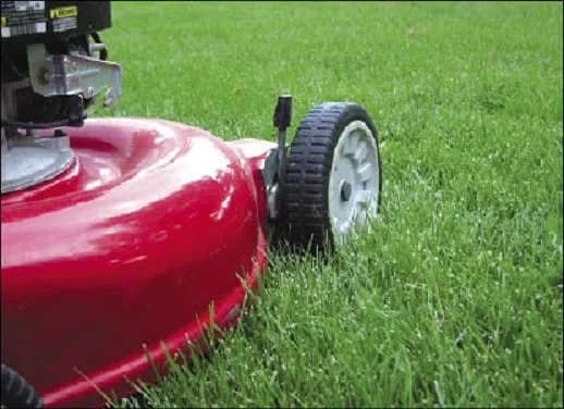 Expert yard maintenance for homes in San Francisco, CA by Orchids Gardening & Landscaping Services