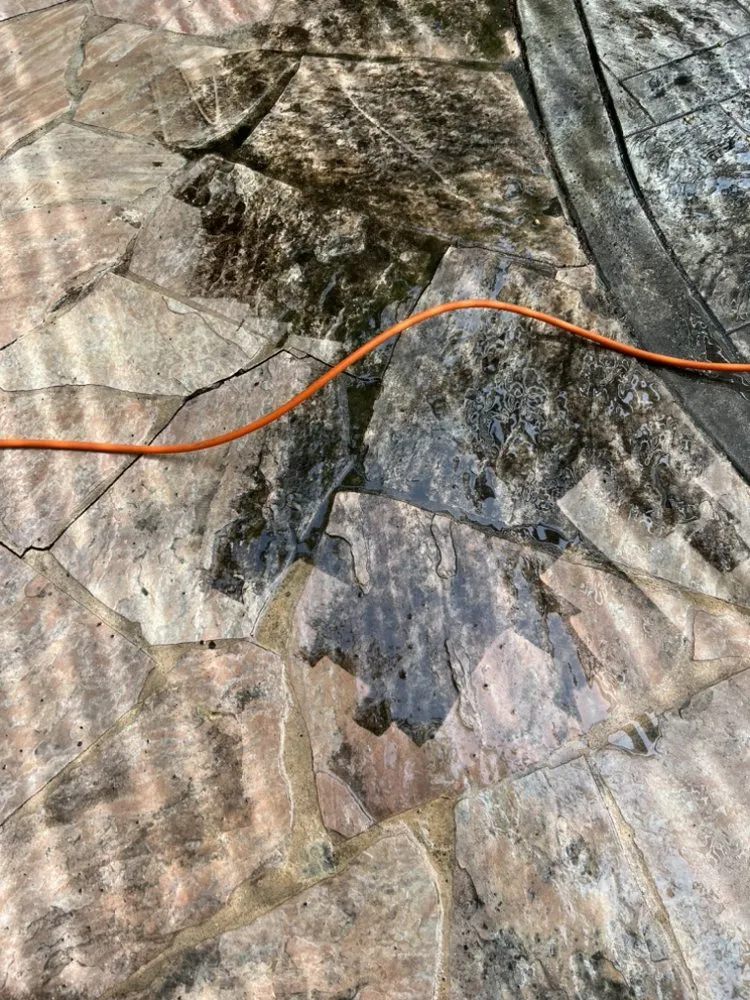 Professional landscaping services experts serving Fairfield, CA - Ordaz Landscaping