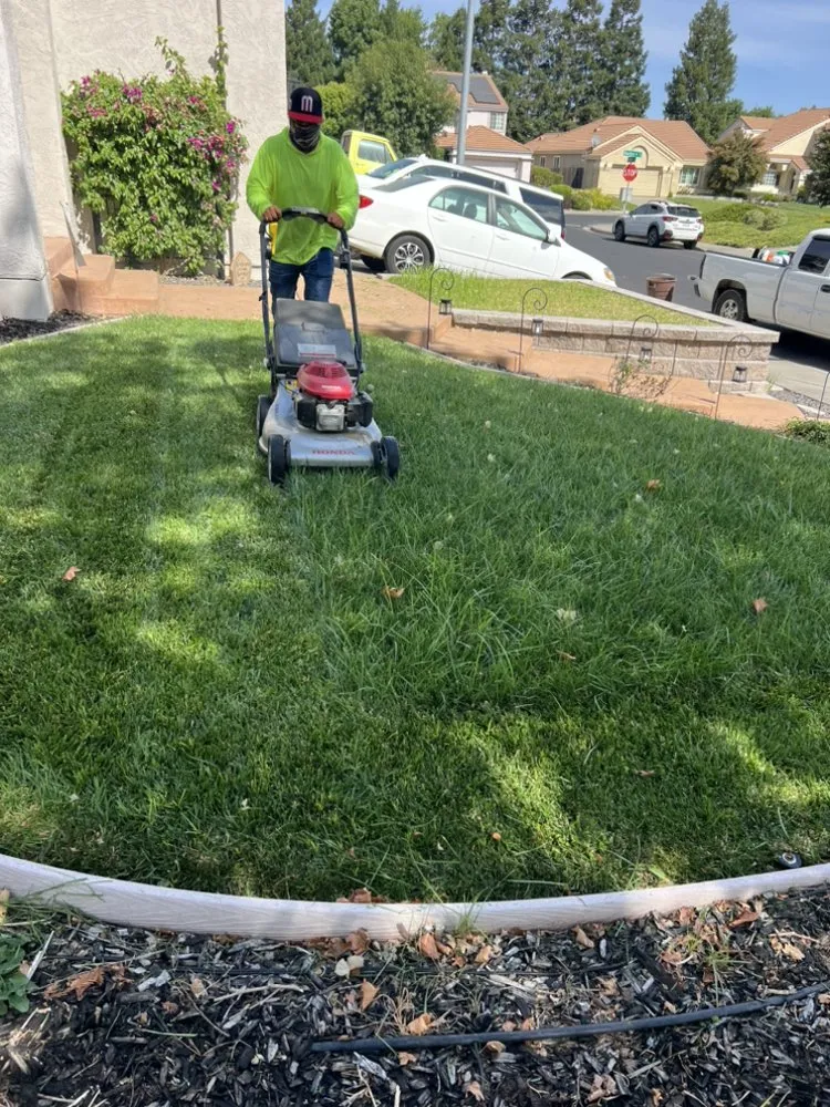 Professional yard maintenance in Fairfield, CA by Ordaz Landscaping