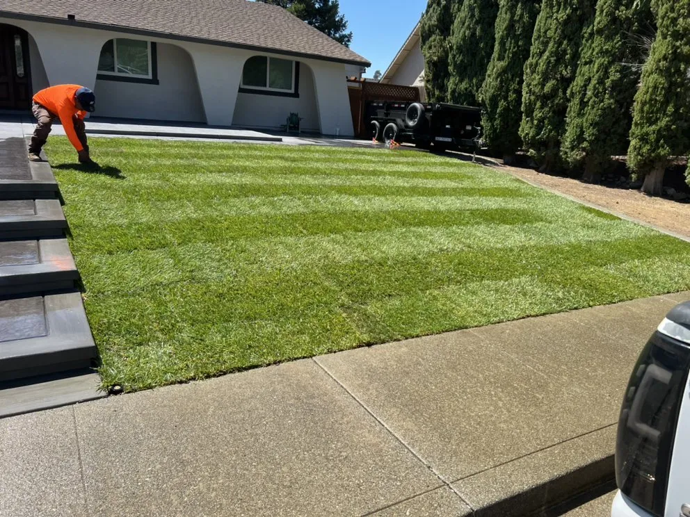 Custom lawn mowing service in Fairfield, CA by Ordaz Landscaping