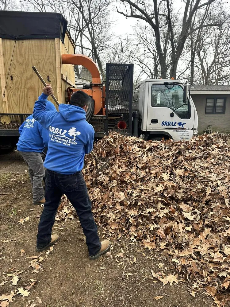 Affordable landscape design for homes across Memphis, TN - Ordaz Lawn & Landscaping Service