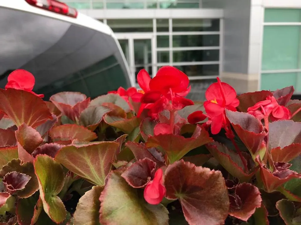 Affordable garden landscaping for beautiful yards across Memphis, TN - Ordaz Lawn & Landscaping Service