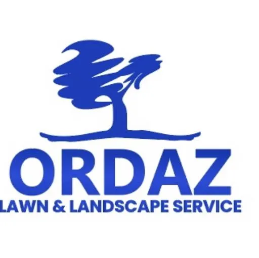 Professional yard cleanup service experts serving Memphis, TN - Ordaz Lawn & Landscaping Service