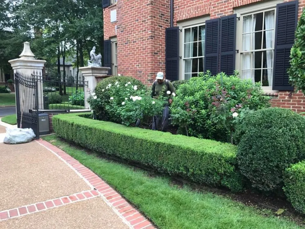 Custom landscape installation in Memphis, TN by Ordaz Lawn & Landscaping Service