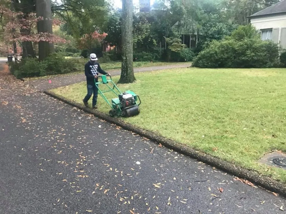 Local landscape design in Memphis, TN - Ordaz Lawn & Landscaping Service