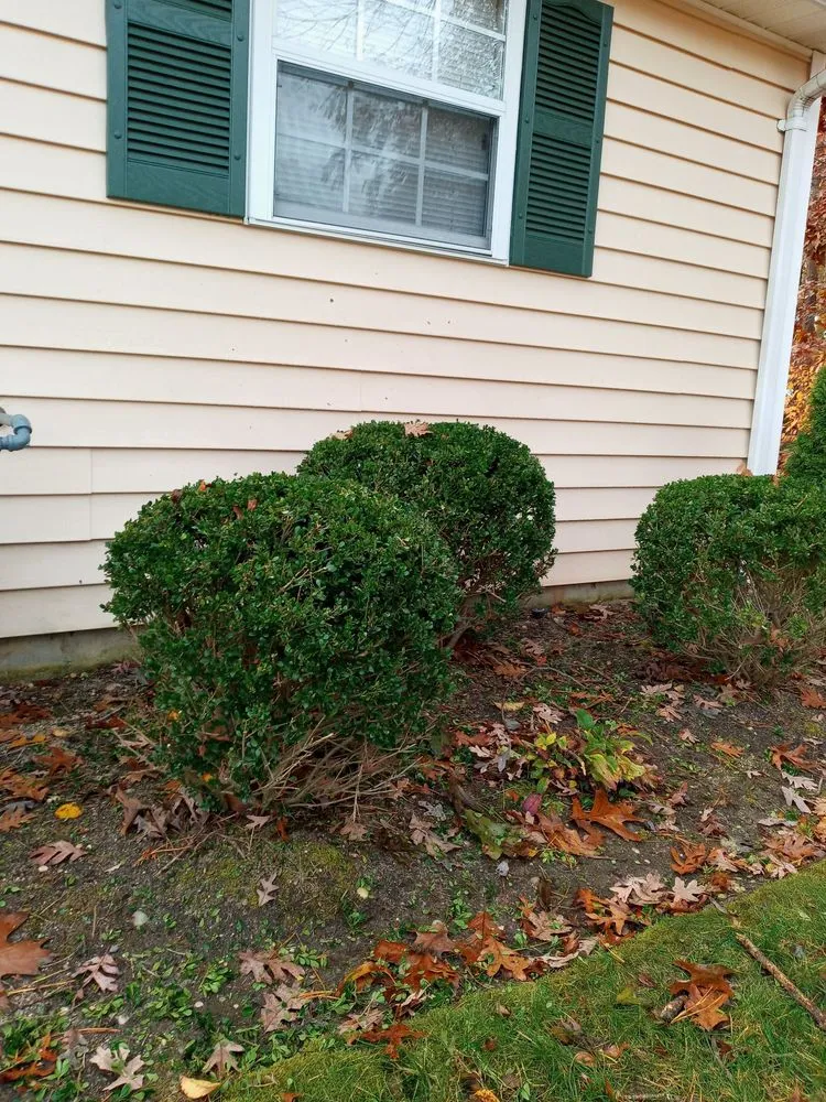 Expert landscape design experts serving Bellport, NY - Ordoñez Landscaping