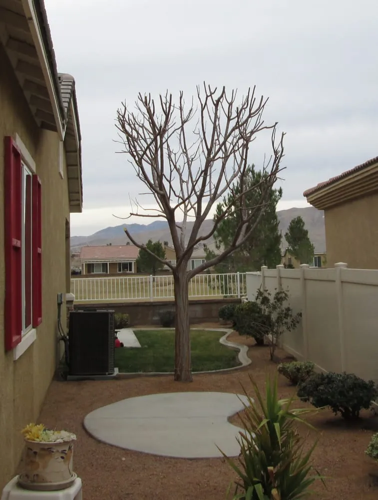 Reliable outdoor landscaping for homes in Apple Valley, CA by Ordonez Landscaping