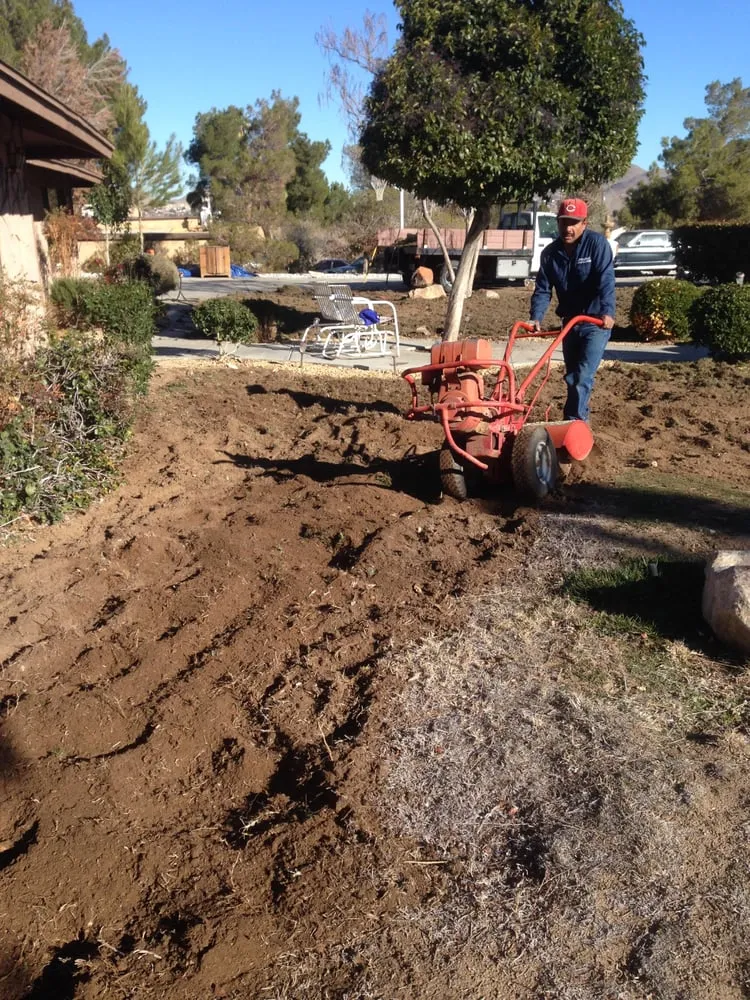 Reliable outdoor landscaping for beautiful yards across Apple Valley, CA - Ordonez Landscaping