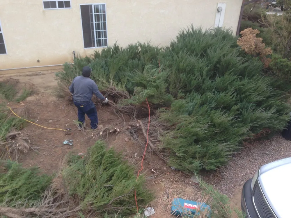 Trusted landscape installation for homes in Apple Valley, CA by Ordonez Landscaping
